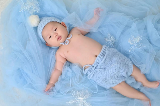 韩城宝宝树怎么样